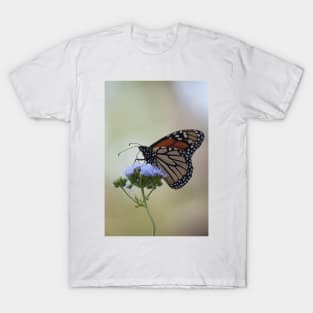 Migration Series IX T-Shirt